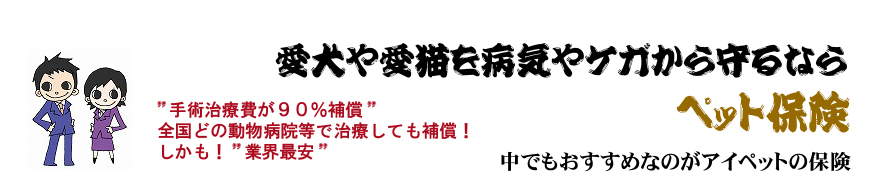 ペット保険  おすすめ ネット加入申込み アイペットのうちの子